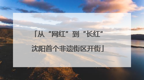 从“网红”到“长红” 沈阳首个非遗街区开街