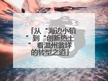 从“海边小镇”到“创新热土” 看温州翁垟的转型之道