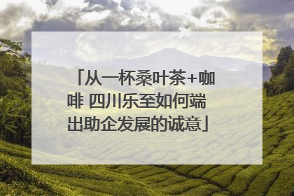 从一杯桑叶茶+咖啡 四川乐至如何端出助企发展的诚意