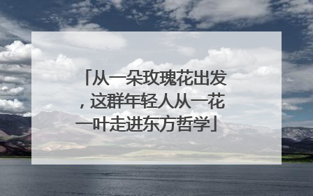 从一朵玫瑰花出发，这群年轻人从一花一叶走进东方哲学