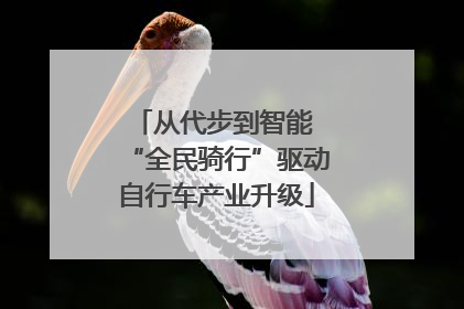 从代步到智能 “全民骑行”驱动自行车产业升级