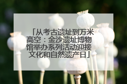从考古遗址到万米高空：金沙遗址博物馆举办系列活动迎接文化和自然遗产日