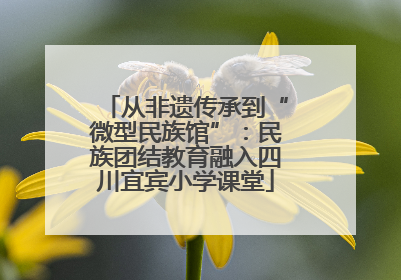 从非遗传承到“微型民族馆”：民族团结教育融入四川宜宾小学课堂