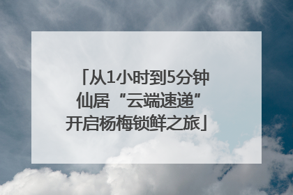 从1小时到5分钟 仙居“云端速递”开启杨梅锁鲜之旅