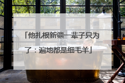 他扎根新疆一辈子只为了：遍地都是细毛羊