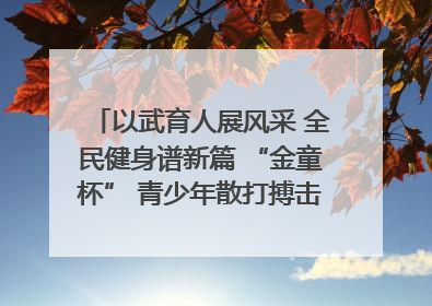 以武育人展风采 全民健身谱新篇 “金童杯” 青少年散打搏击邀请赛圆满落幕
