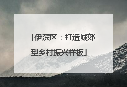 伊滨区：打造城郊型乡村振兴样板