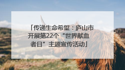 传递生命希望：庐山市开展第22个“世界献血者日”主题宣传活动