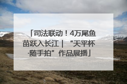 司法联动！4万尾鱼苗跃入长江｜“天平杯·随手拍”作品展播