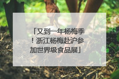 又到一年杨梅季！浙江杨梅赴沪参加世界级食品展