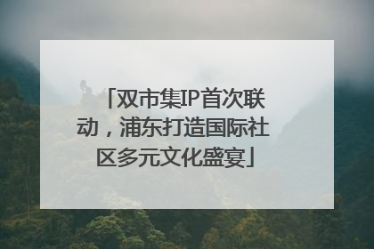 双市集IP首次联动，浦东打造国际社区多元文化盛宴