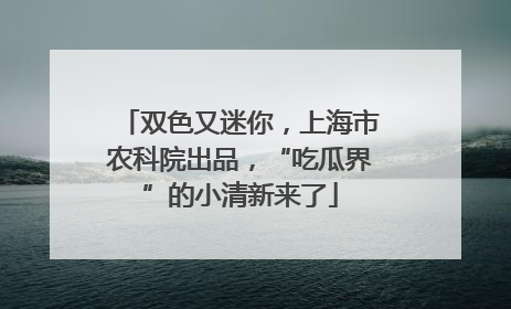 双色又迷你，上海市农科院出品，“吃瓜界”的小清新来了
