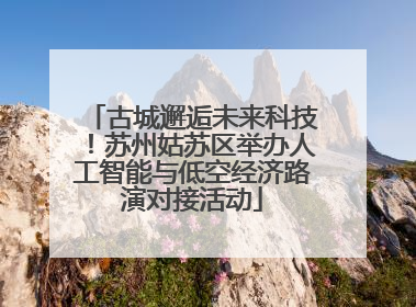 古城邂逅未来科技！苏州姑苏区举办人工智能与低空经济路演对接活动