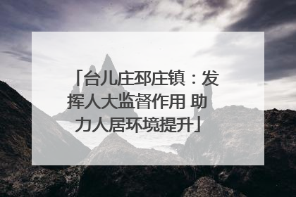 台儿庄邳庄镇：发挥人大监督作用 助力人居环境提升