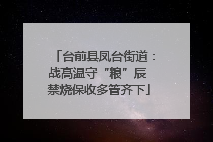 台前县凤台街道：战高温守“粮”辰 禁烧保收多管齐下