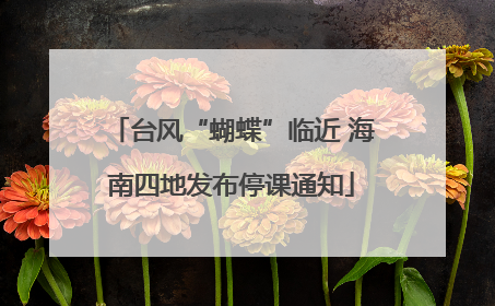 台风“蝴蝶”临近 海南四地发布停课通知