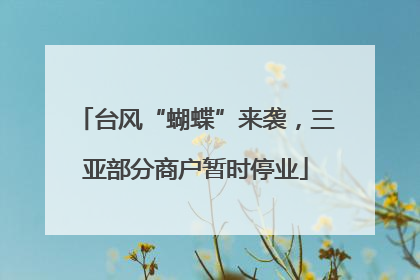 台风“蝴蝶”来袭，三亚部分商户暂时停业