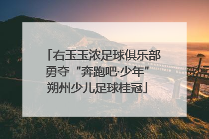 右玉玉浓足球俱乐部勇夺“奔跑吧·少年”朔州少儿足球桂冠