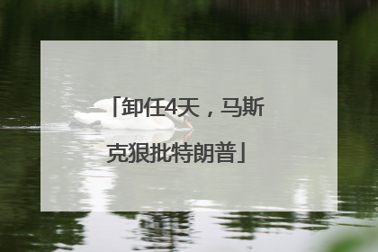 卸任4天，马斯克狠批特朗普