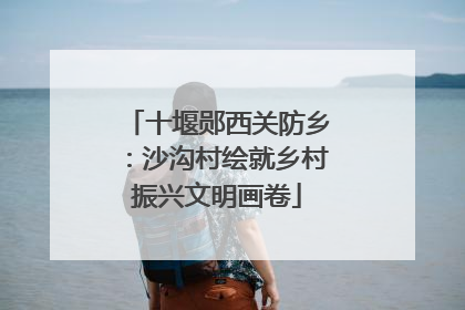 十堰郧西关防乡：沙沟村绘就乡村振兴文明画卷