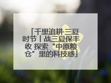 千里追耕·三夏时节丨战三夏保丰收 探索“中原粮仓”里的科技感