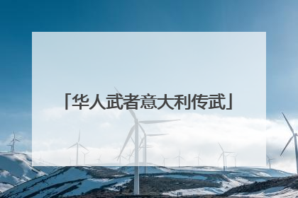 华人武者意大利传武