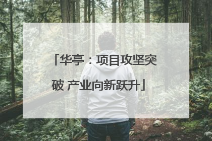 华亭：项目攻坚突破 产业向新跃升
