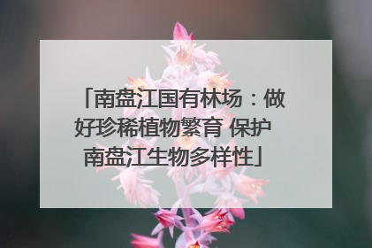 南盘江国有林场：做好珍稀植物繁育 保护南盘江生物多样性