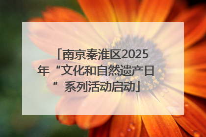 南京秦淮区2025年“文化和自然遗产日”系列活动启动