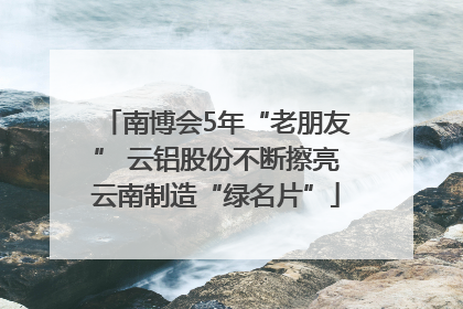 南博会5年“老朋友” 云铝股份不断擦亮云南制造“绿名片”