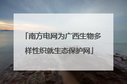 南方电网为广西生物多样性织就生态保护网