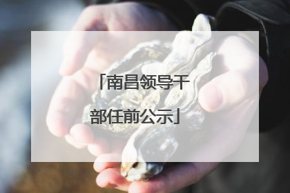 南昌领导干部任前公示