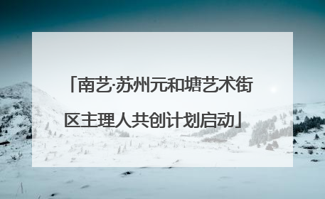 南艺·苏州元和塘艺术街区主理人共创计划启动