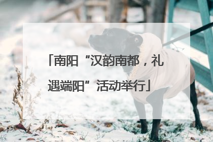 南阳“汉韵南都，礼遇端阳”活动举行