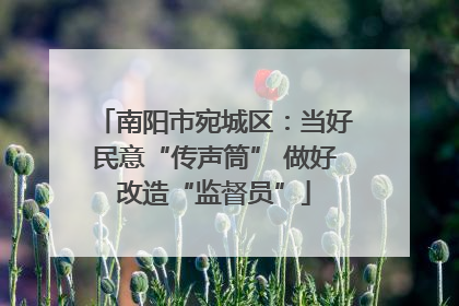 南阳市宛城区：当好民意“传声筒” 做好改造“监督员”