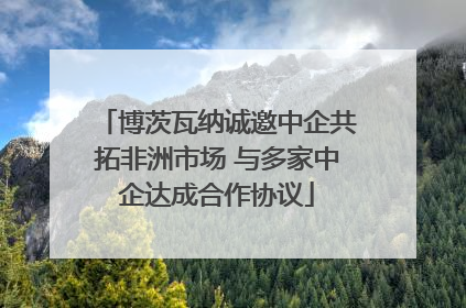 博茨瓦纳诚邀中企共拓非洲市场 与多家中企达成合作协议