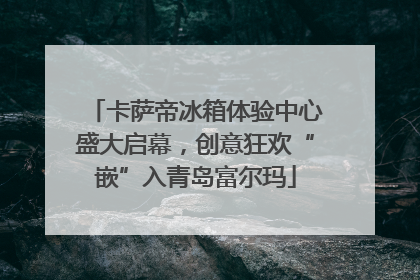 卡萨帝冰箱体验中心盛大启幕，创意狂欢“嵌”入青岛富尔玛