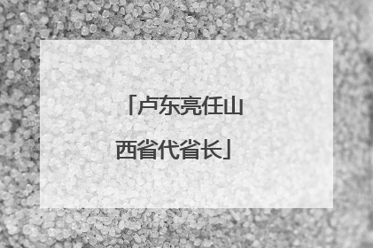 卢东亮任山西省代省长