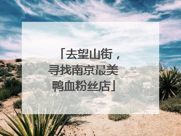 去望山街，寻找南京最美鸭血粉丝店
