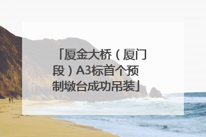 厦金大桥（厦门段）A3标首个预制墩台成功吊装