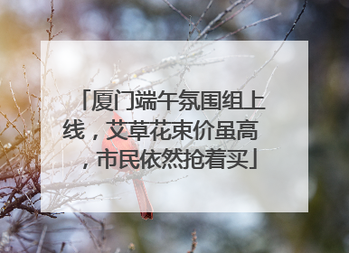 厦门端午氛围组上线，艾草花束价虽高，市民依然抢着买