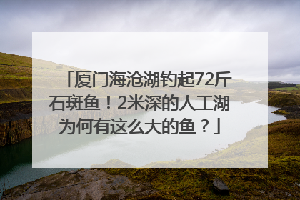厦门海沧湖钓起72斤石斑鱼！2米深的人工湖为何有这么大的鱼？