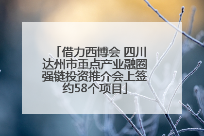 借力西博会 四川达州市重点产业融圈强链投资推介会上签约58个项目