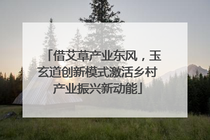 借艾草产业东风，玉玄道创新模式激活乡村产业振兴新动能