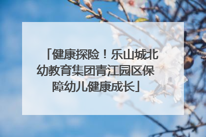 健康探险！乐山城北幼教育集团青江园区保障幼儿健康成长