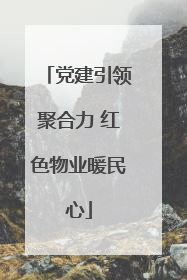 党建引领聚合力 红色物业暖民心