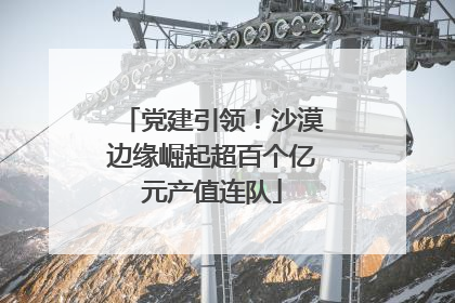党建引领！沙漠边缘崛起超百个亿元产值连队
