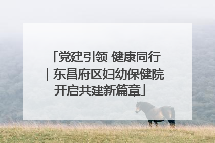 党建引领 健康同行｜东昌府区妇幼保健院开启共建新篇章