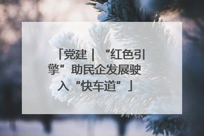 党建｜“红色引擎”助民企发展驶入“快车道”