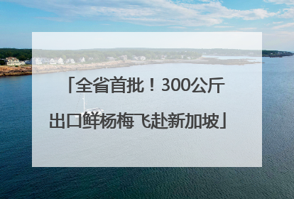 全省首批！300公斤出口鲜杨梅飞赴新加坡